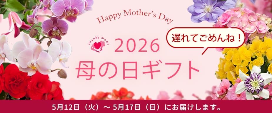 
母の日ギフト