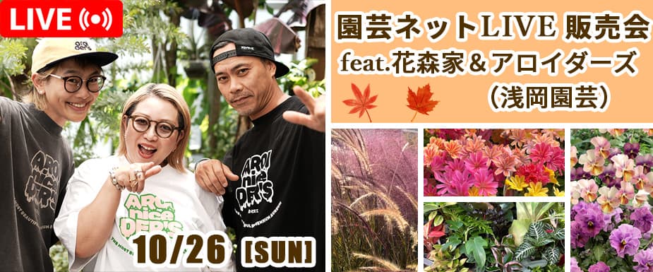 

花森家＆アロイダーズ（浅岡園芸）紹介植物