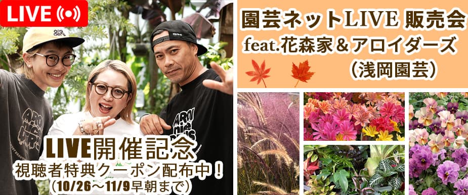 花森家&アロイダーズ(浅岡園芸)紹介植物