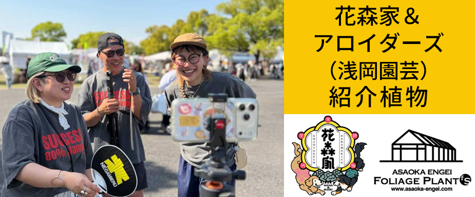 
花森家＆アロイダーズ（浅岡園芸）紹介植物