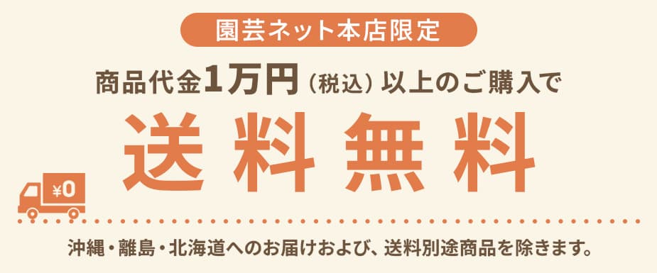 税込1万円以上のお買い物で送料無料