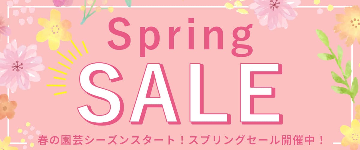 スプリングセール