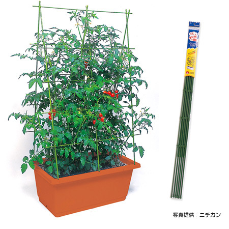 園芸ネット本店｜ニチカン花と野菜の支柱 M 4個セット の通販【公式】