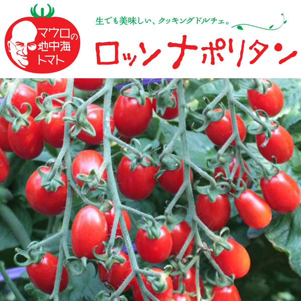 [送料無料][26年4月下旬予約]イタリアントマト：ロッソナポリタン3号ポット 24株セット