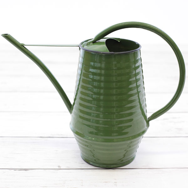 エッシャーデザイン  水差しグリーン（ＥＬ003）