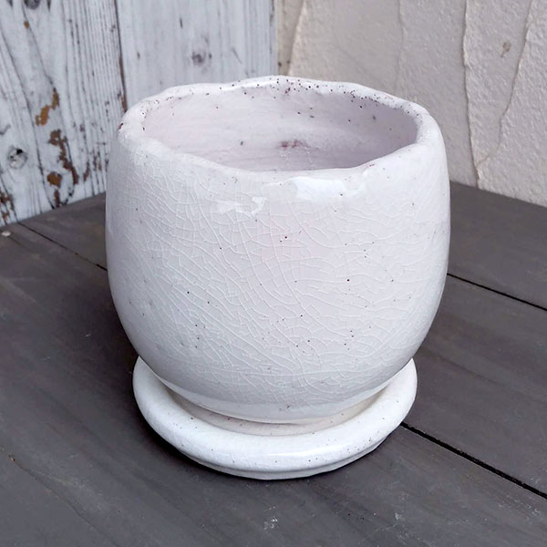 アンジェラ：白L（直径11cm）・皿付