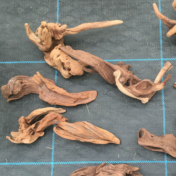 熊野の天然流木・小サイズ10～20cm