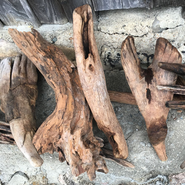 熊野の天然流木・中サイズ20～30cm