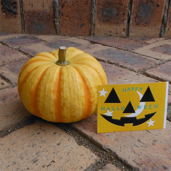 ハロウィン用おもちゃかぼちゃ:プッチィーニLシール付(直径8~10cm) 30個セット