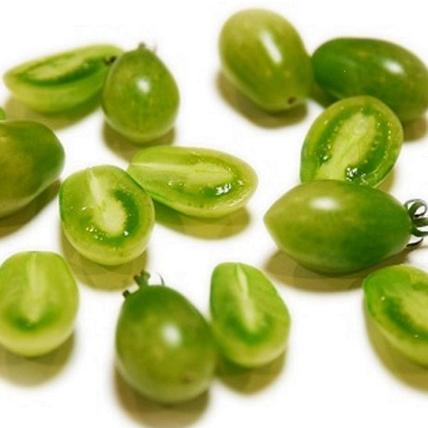 [送料無料][26年4月下旬予約]イタリアントマト：サリーナエメラルド3号ポット 24株セット