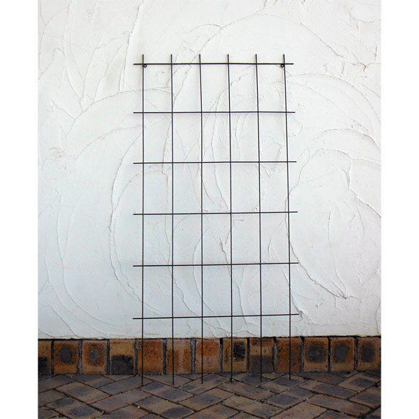 クライミングスクエアトレリス1200（幅60cm、高さ120cm） 2枚セット