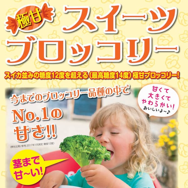 極甘！スイーツブロッコリー3号ポット 2株セットy