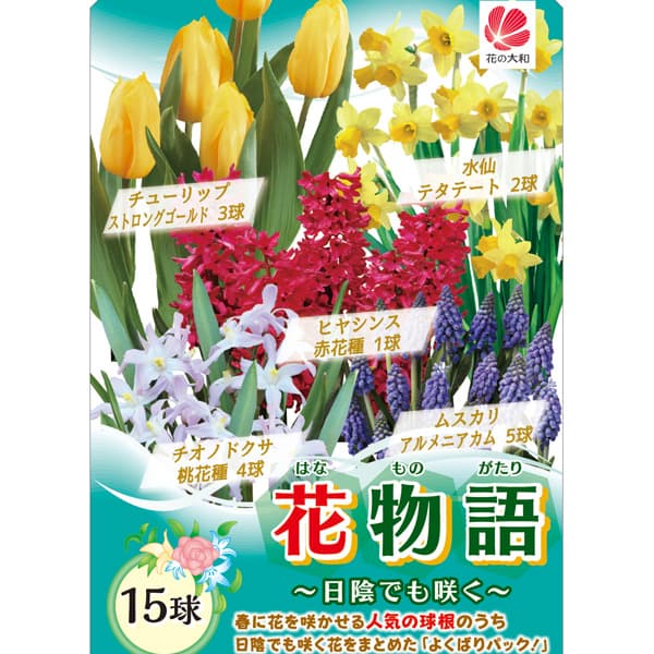 球根セット：花物語（秋）　日陰でも咲く　15球セット