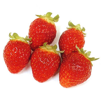 [送料無料]イチゴ：レッドパール3号ポット 24株セット