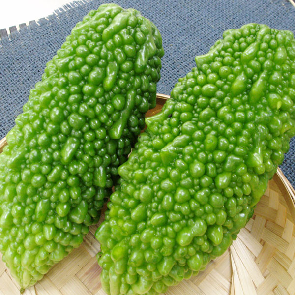 [26年4月下旬予約]琉球野菜：あばしゴーヤ（苦瓜・ニガウリ）自根苗3号ポット 6株セット