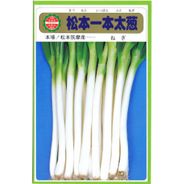 ネギ苗2000本 松本一本ねぎ♪ネギ苗100本 （松本一本ネギ ねぎ苗 1000本/100本