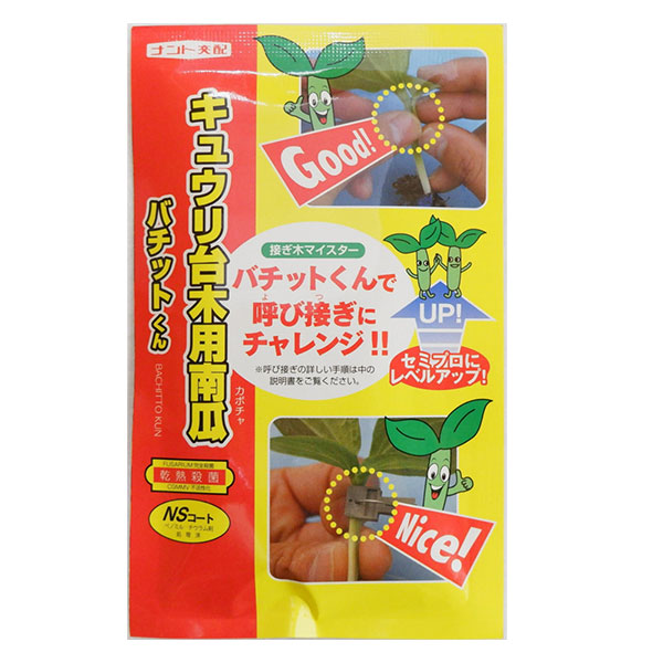 キュウリ台木用南瓜「バチットくん」のタネ（約30粒） 2袋セット[野菜タネ]