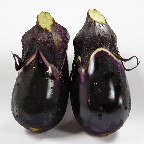 [送料無料][26年4月下旬予約]土佐マルシェ：ナス：土佐小なす3号ポット 24株セット