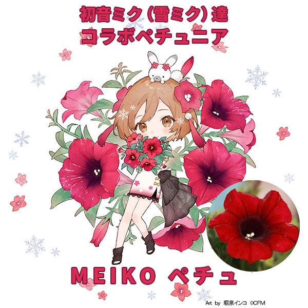 園芸ネット本店｜ペチュニア：MEIKOペチュ3.5号ポット 6株セット の