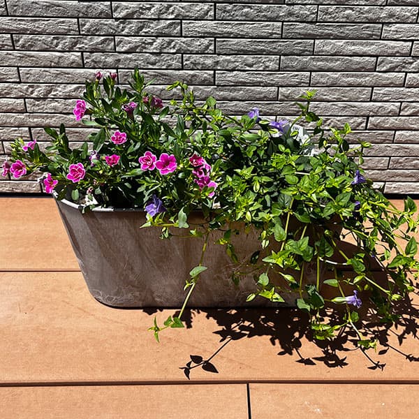 園芸ネット本店｜PW寄せ植えセット（アートストーン）：スーパー