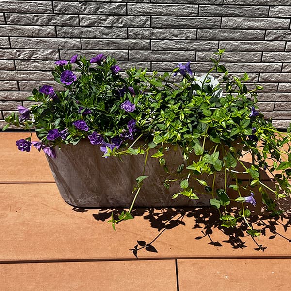 38cm青い花 グランドプレート スタンド花1段 バラ 開店祝い 楽屋花 公演祝