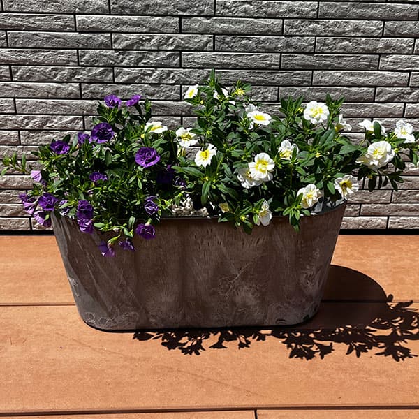 園芸ネット本店｜PW寄せ植えセット（アートストーン）：スーパーベル