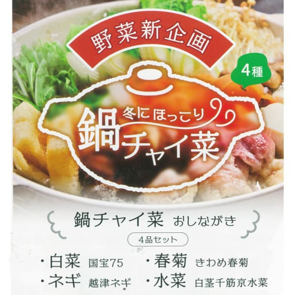 [送料無料]鍋チャイ菜3号ポット28株セット