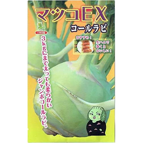 コールラビ:マツコEX 3号ポット 3株セット