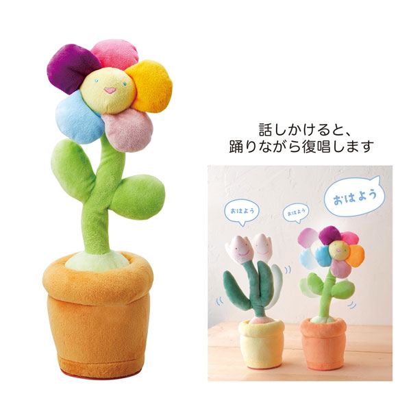 [ギフトに]おどるレインボーフラワー(5314)