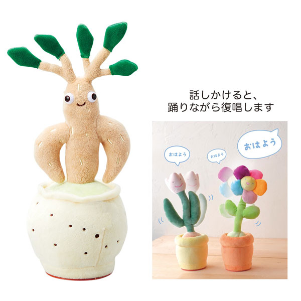 園芸ネット本店｜[ギフトに]おどるガジュマル(5316) の通販【公式】