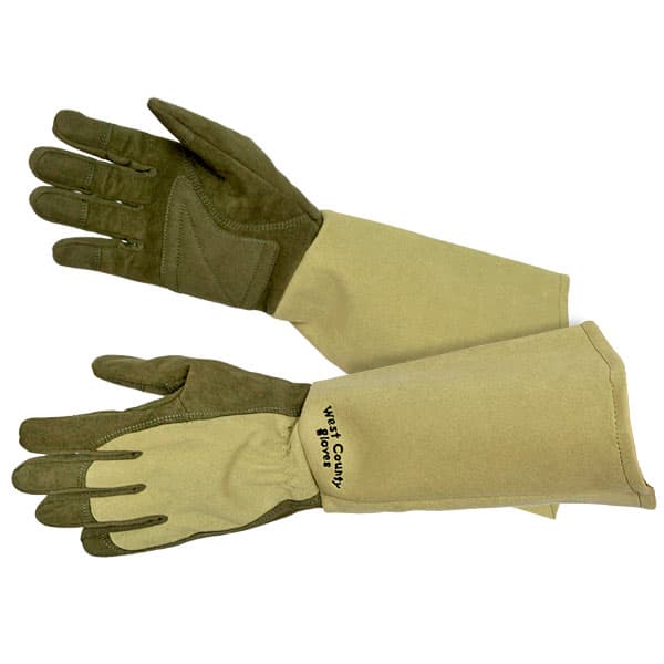 ウエストカウンティー ローズ モスL  2双セット