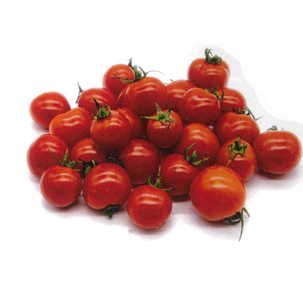 [26年4月下旬予約]イタリアントマト（ミニ）：ルージュジャポネーゼ3号ポット 12株セット