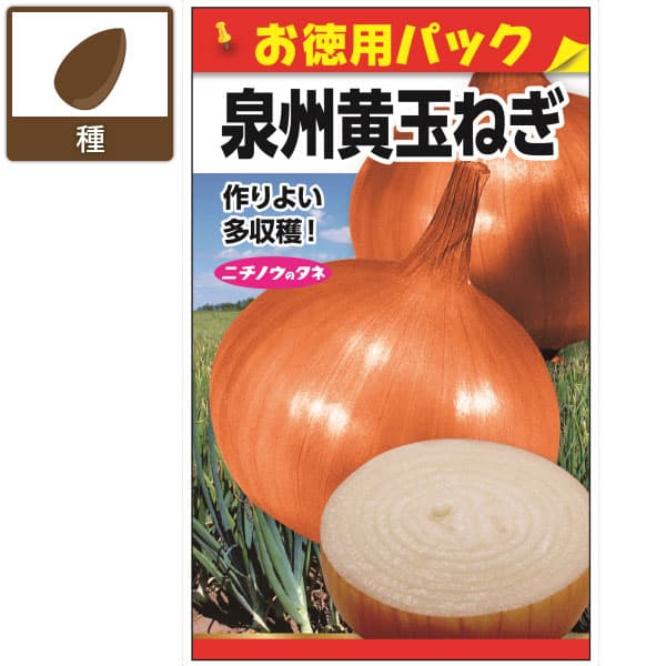 タマネギ：泉州黄玉ねぎ(お徳用パック)[野菜タネ　秋まき]