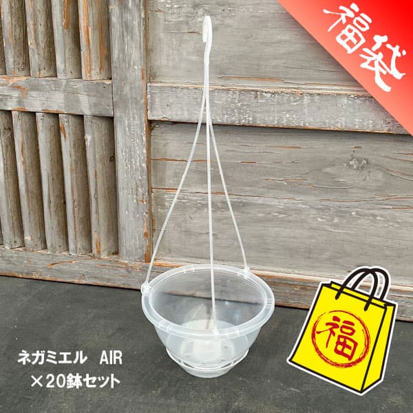 吊り鉢（透明）：ネガミエル　AIR（エアー）　5号吊り鉢 20個セット