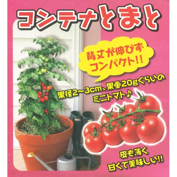 [26年4月下旬予約]コンテナとまと3号ポット 12株セット