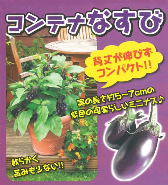 [26年4月下旬予約]コンテナなすび3号ポット 12株セット