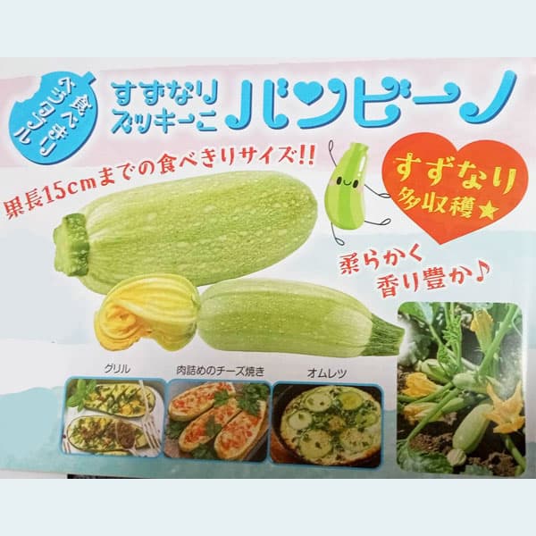 [26年4月下旬予約]ズッキーニ：すずなりズッキーニ　バンビーノ3号ポット 12株セット