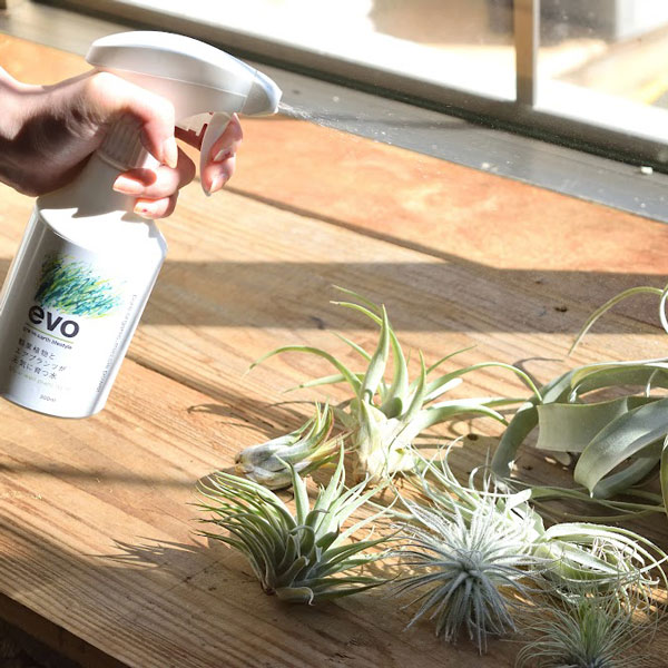 evo 観葉植物とエアプランツが元気に育つ水 300ml（54081）