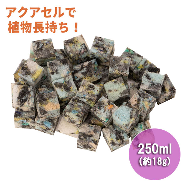 【今週の会員プレゼント！】水やりサポート資材・アクアセルキューブ　250ml／約18g