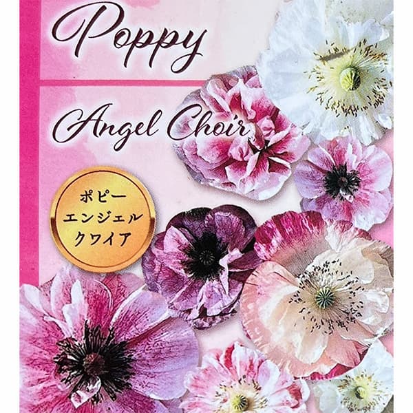 ポピー（ヒナゲシ）：エンジェルス クワイヤ ミックス3.5号ポット 12株セット