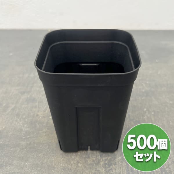 プレステラ120型 深鉢 ブラック 500個セット