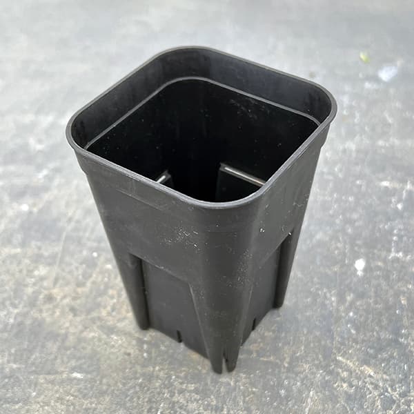 【今週の会員プレゼント！】プレステラ75型 深鉢 ブラック