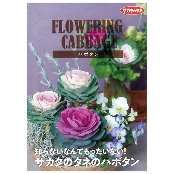 【会員プレゼント！】商品カタログ：サカタのタネ　ハボタン