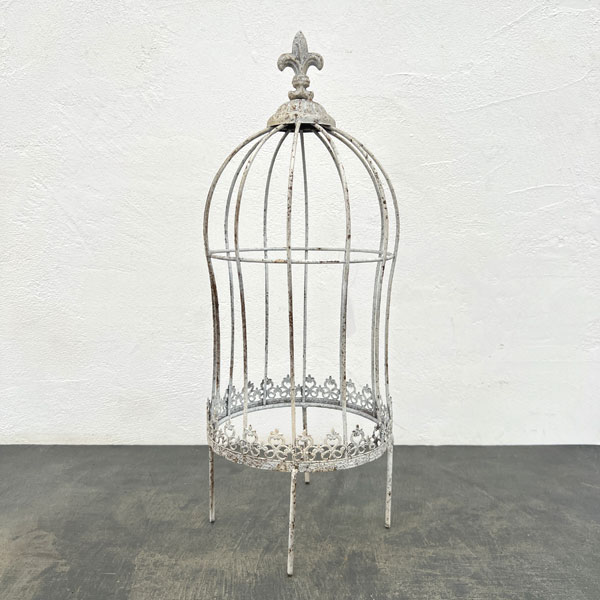 ロングラカージュピック　W（UF595）／高さ51.5cm　