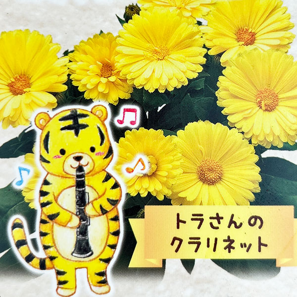 もこもこカレンジュラ：トラさんのクラリネット（エミフル ムーン）2.5号ロングポット