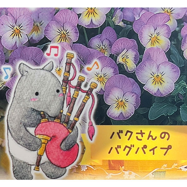 ビオラ：バクさんのバグパイプ（フローラルパワー ピンクレモンリップ）2.5号ロングポット