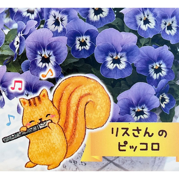 ビオラ：リスさんのピッコロ（フローラルパワー マリーナ）2.5号ロングポット