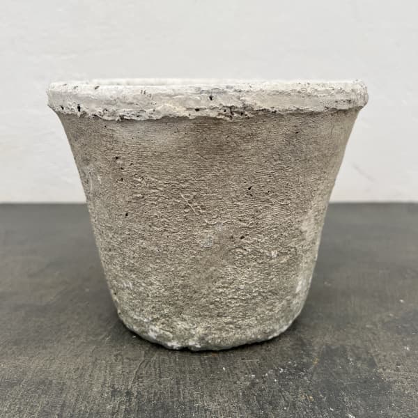 モスポット:カクタスポットホワイトM（直径16cm×高さ12cm）