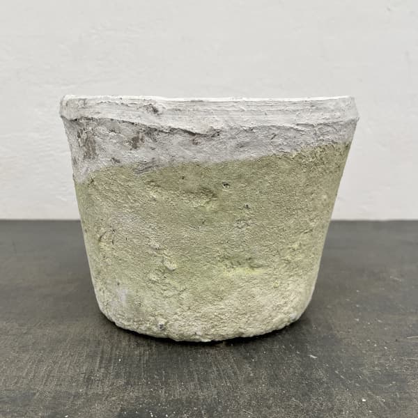 モスポット:カクタスポットホワイトL（直径20cm×高さ15cm）