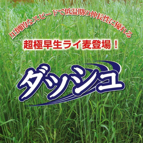 牧草種子：ライ麦 ダッシュ 10kg入り[タネ 秋まき 超極早生・低温期の伸長に優れる！]
